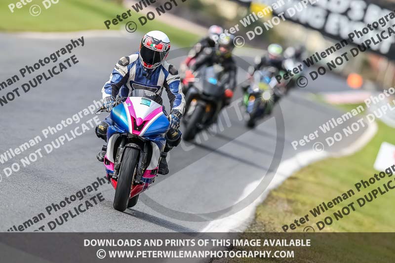 Oulton Park 21st March 2020;PJ Motorsport Photography 2020;anglesey;brands hatch;cadwell park;croft;donington park;enduro digital images;event digital images;eventdigitalimages;mallory;no limits;oulton park;peter wileman photography;racing digital images;silverstone;snetterton;trackday digital images;trackday photos;vmcc banbury run;welsh 2 day enduro